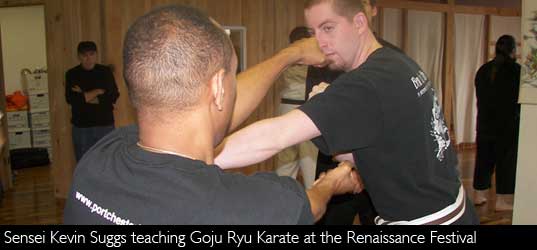 Renaissance Martial Arts Festival